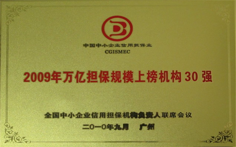 2009年萬億擔(dān)保規(guī)模上榜機(jī)構(gòu)30強(qiáng)